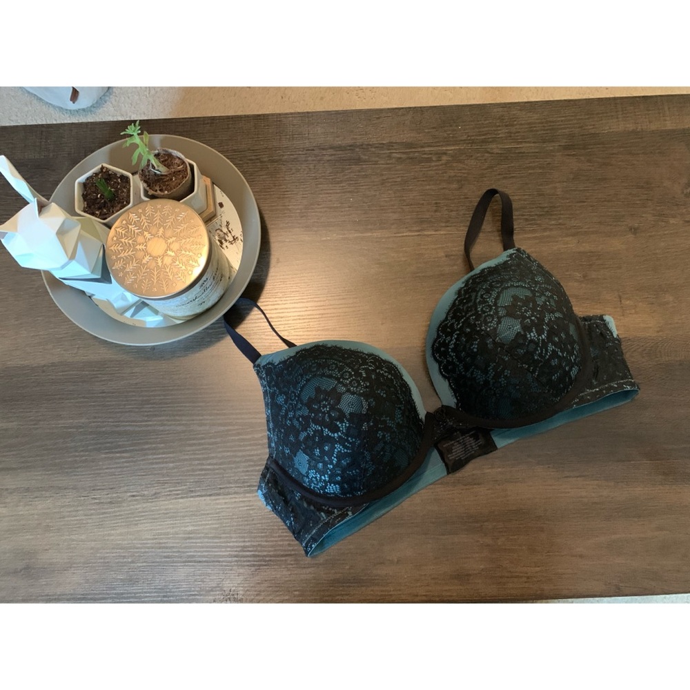 Torrid Sage Eyelash Lace Push-up Plunge Bra 40DD